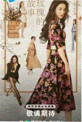 年代剧小巷烟火在线观看封面