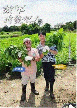 慢综艺山野厨房热播榜缩略图