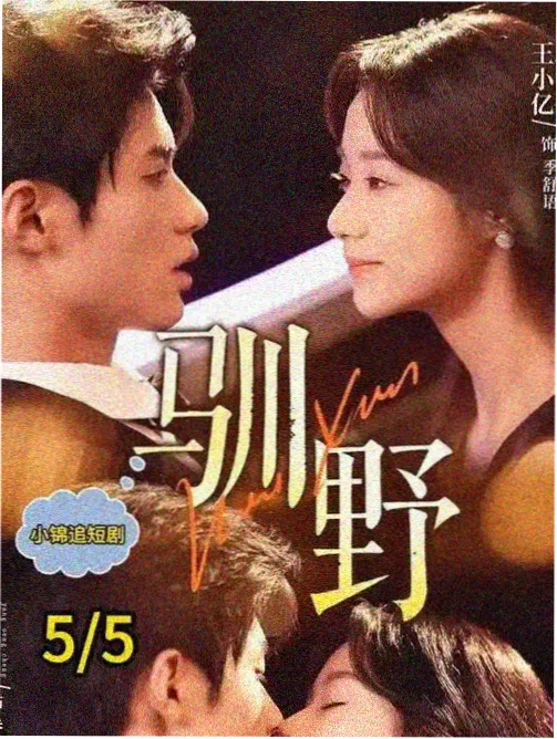 双线叙事剧集研究资讯配图